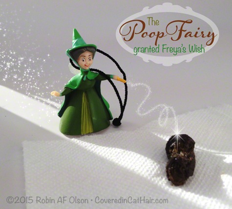 The Poop Fairy R Olson copyright